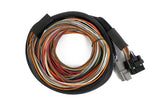 Haltech Nexus IO16 Universal Wire in harness 2.6m (8.5') HT-180000