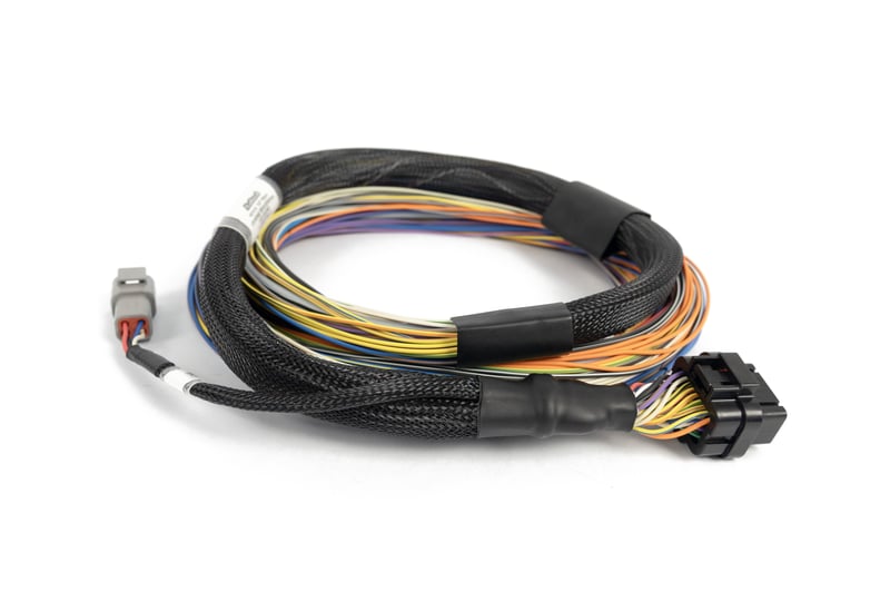 Haltech Nexus T2/T1 Basic Universal Wire-in Harness