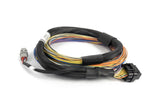Haltech Nexus T2/T1 Basic Universal Wire-in Harness
