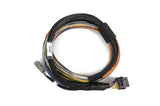 Haltech Nexus T2/T1 Basic Universal Wire-in Harness