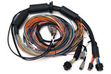 Haltech Nexus R3  Universal Wire-in Harness - 2.5m (8') HT-183200