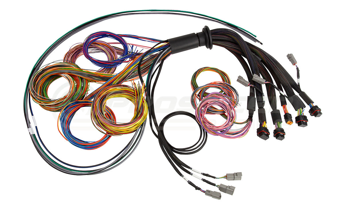 Haltech NEXUS R5 Basic Universal Wire-In harness - 2.5m HT-185200 | Pro Speed Racing