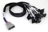Haltech Nexus Universal V8 - Junior Timer (EV1) Injector Primary Breakout HT-186000