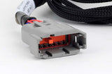 Haltech Nexus Universal V8 - GT150 (USCAR) Injector Primary Breakout
