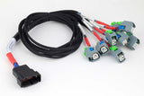 Haltech Nexus Universal V8 - GT150 (USCAR) Injector Secondary Breakout HT-186003