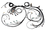 Haltech Nexus R5 Terminated Harness GM/Holden LSX Engines (DWB Ready) HT-186205