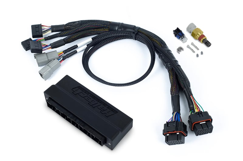 Haltech Nexus S3 Plug 'n' Play Adapter Harness Subaru WRX GD/GG 01-05 HT-186366