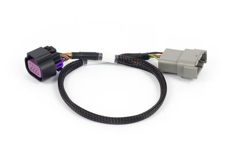 Haltech Nexus Rebel LS - 8-pin DBW adaptor
