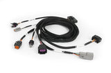 Haltech Nexus Plug-in DBW Expansion Harness 2.5m (8') HT-189003
