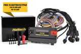 Haltech NEXUS R5 + Universal Wire-in Harness Kit - 5M / 16' HT-195201