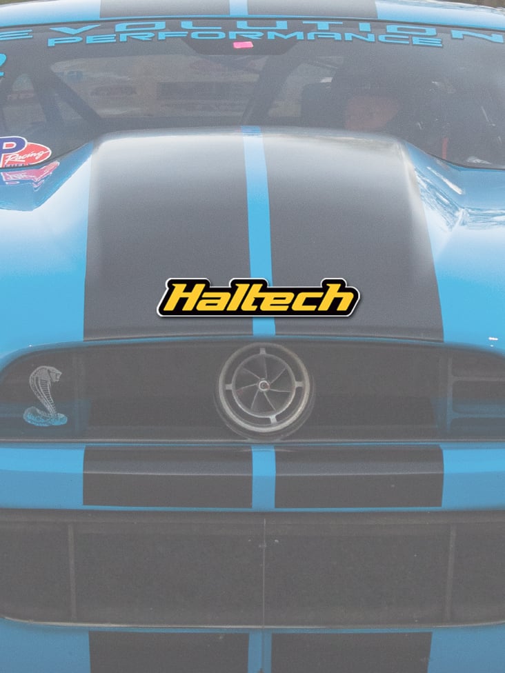 Haltech Logo Colour Sticker Yellow - 280mm (11")
