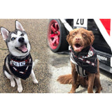 IAG Performance Doggo Swag Pack w/Bandana and Dog Tag