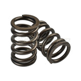 IAG Single Valve Spring and Titanium Retainer Set