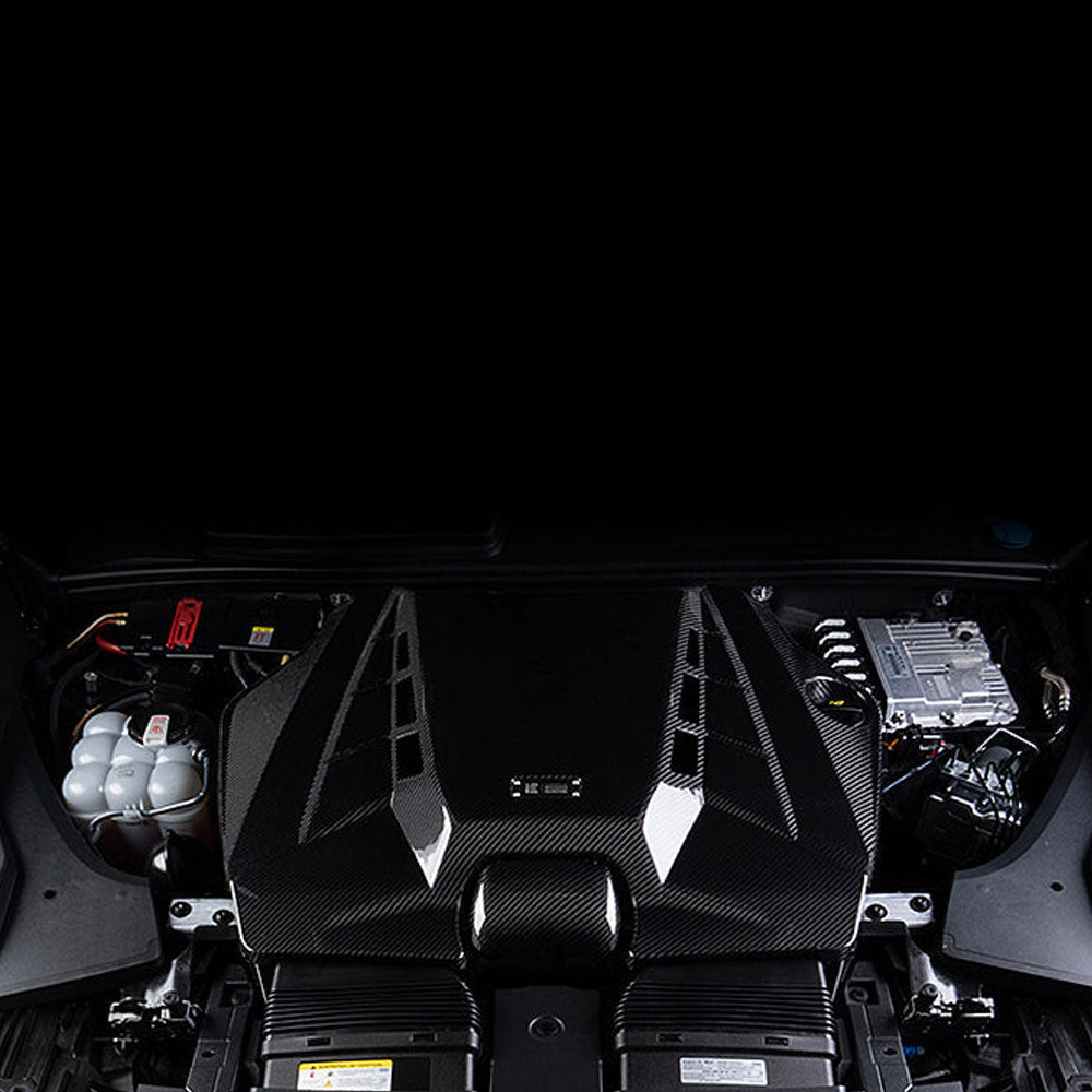 Integrated Engineering Carbon Fibre Air Intake System and Cover