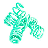 Integrated Engineering Lowering Springs