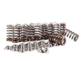 Integrated Engineering Valve Spring & Retainer Kit IEVTVB2 | Pro Speed Racing