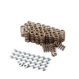 Integrated Engineering Valve Spring & Retainer Kit