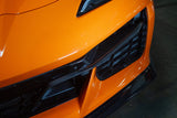 APR Performance Carbon Fiber Front Bumper Grill Insert