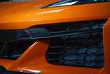 APR Performance Carbon Fiber Front Bumper Grill Insert