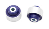 SuperPro Front Control Arm Lower-Inner Rear Bush Kit