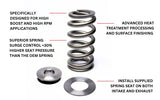 Kelford Beehive Valve Spring Kit