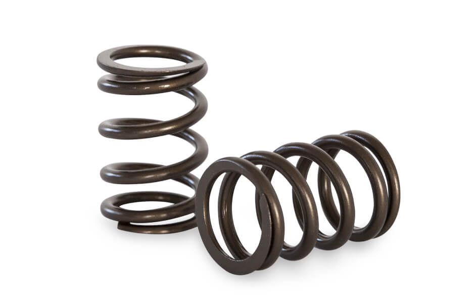 Kelford Valve Spring Kit
