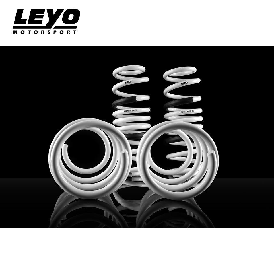 LEYO Lowering Springs