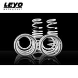 LEYO Lowering Springs