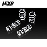 LEYO Lowering Springs