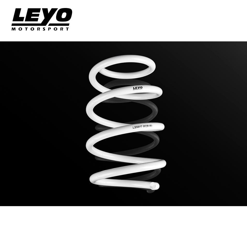 LEYO Lowering Springs