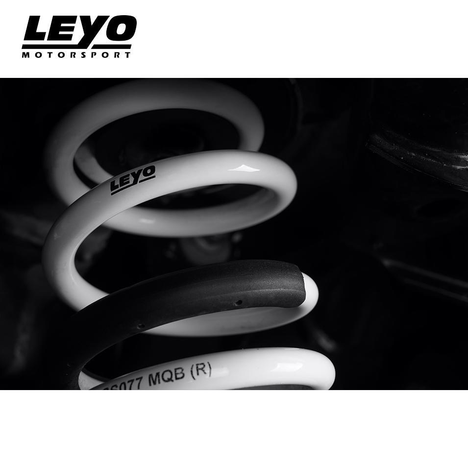 LEYO Lowering Springs