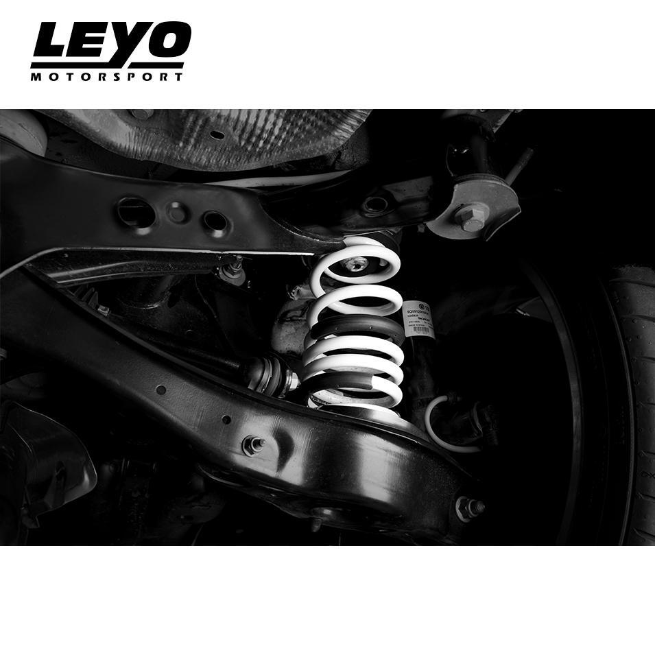 LEYO Lowering Springs
