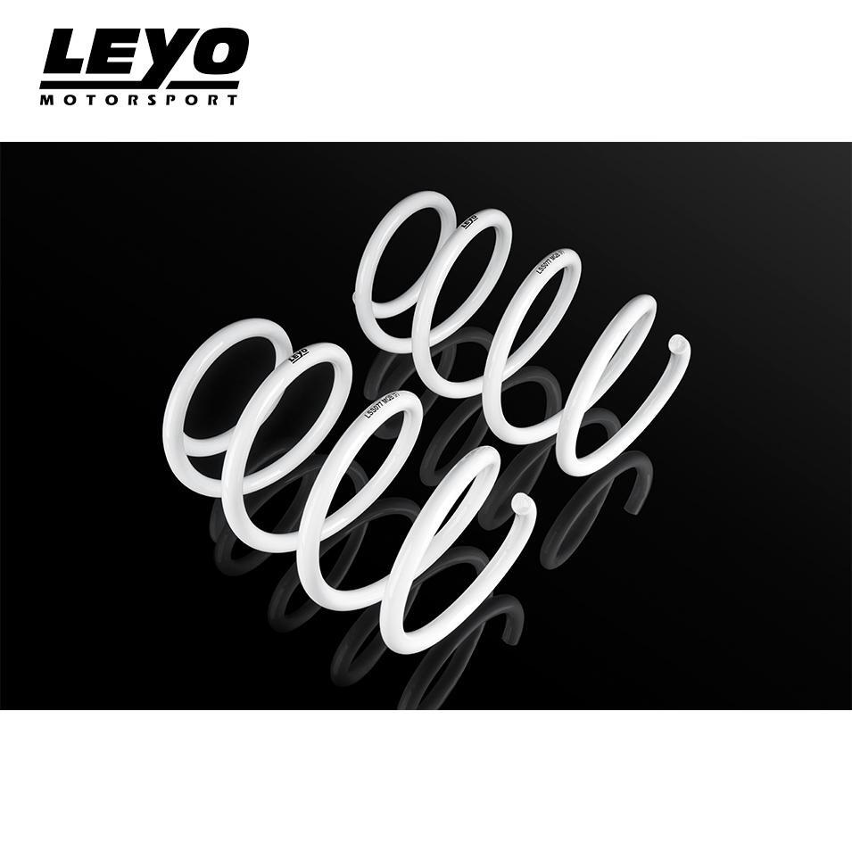 LEYO Lowering Springs