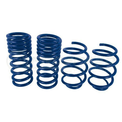 Ford Performance Street Lowering Springs - Ford Mustang GT/Ecoboost 15-21 M-5300-XA | Pro Speed