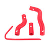 Mishimoto Silicone Radiator Hose Kit