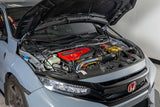 OLM Carbon Fibre Hood Struts