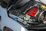 OLM Carbon Fibre Hood Struts