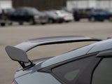 OLM Carbon Fibre Type-R Style Wing Element Only