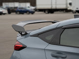 OLM Carbon Fibre Type-R Style Wing Element Only