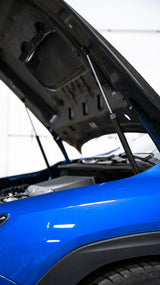 OLM Carbon Fibre Hood Struts