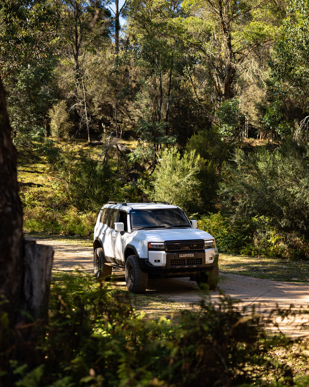 Bilstein B6 Lift Kit - Medium/Heavy Duty