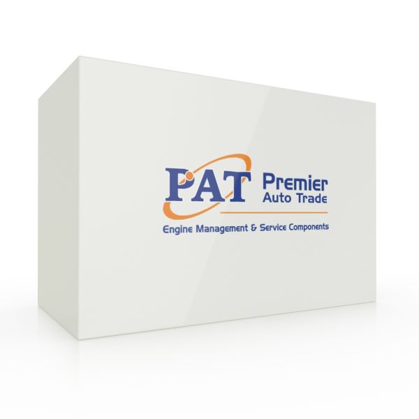 PAT Electronic Fuel Pump
