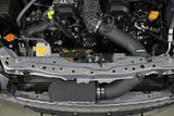 Perrin Cold Air Intake
