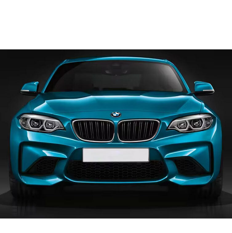 PSR Carbon Fibre Front Kidney Grilles