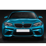 PSR Carbon Fibre Front Kidney Grilles