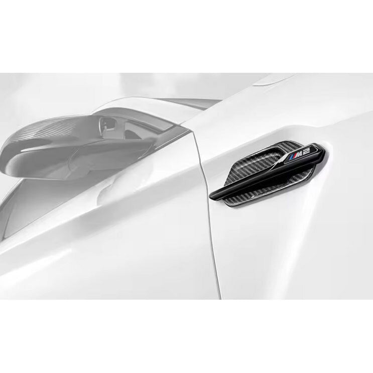 PSR Carbon Fibre Side Fender Trims