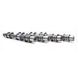 Roger Clark Motorsport Performance Camshaft Kit