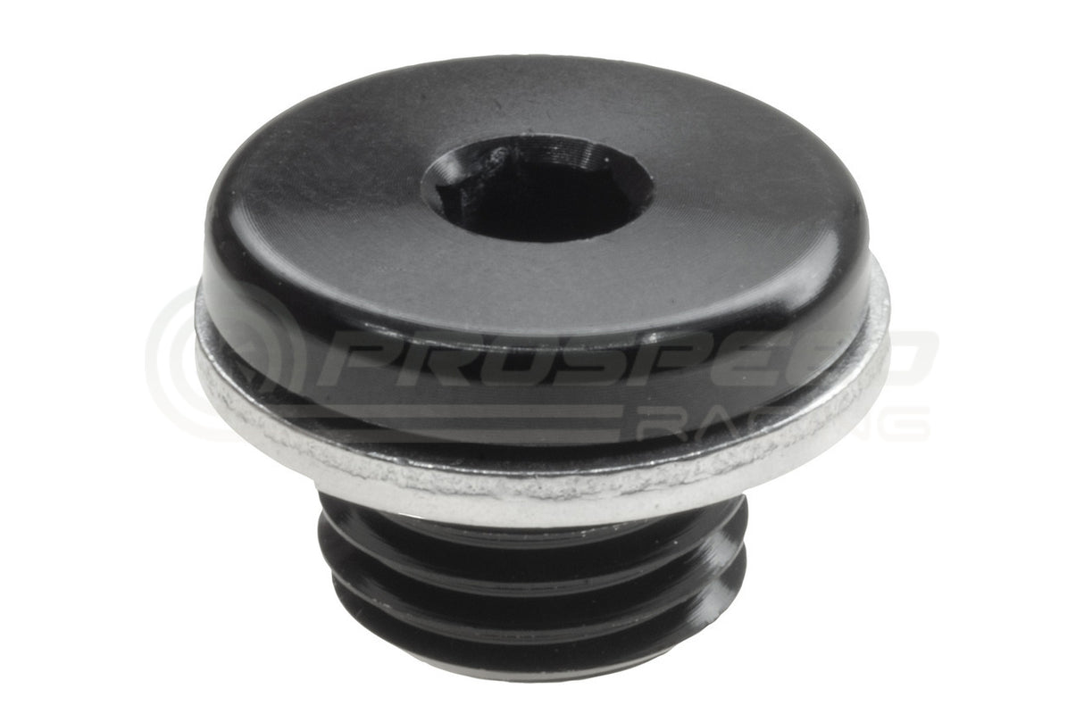 Raceworks Metric Hex Plug With Washer