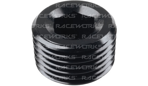Raceworks NPT Male Plug Fitting
