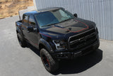APR Performance Carbon Fibre Hood Vent